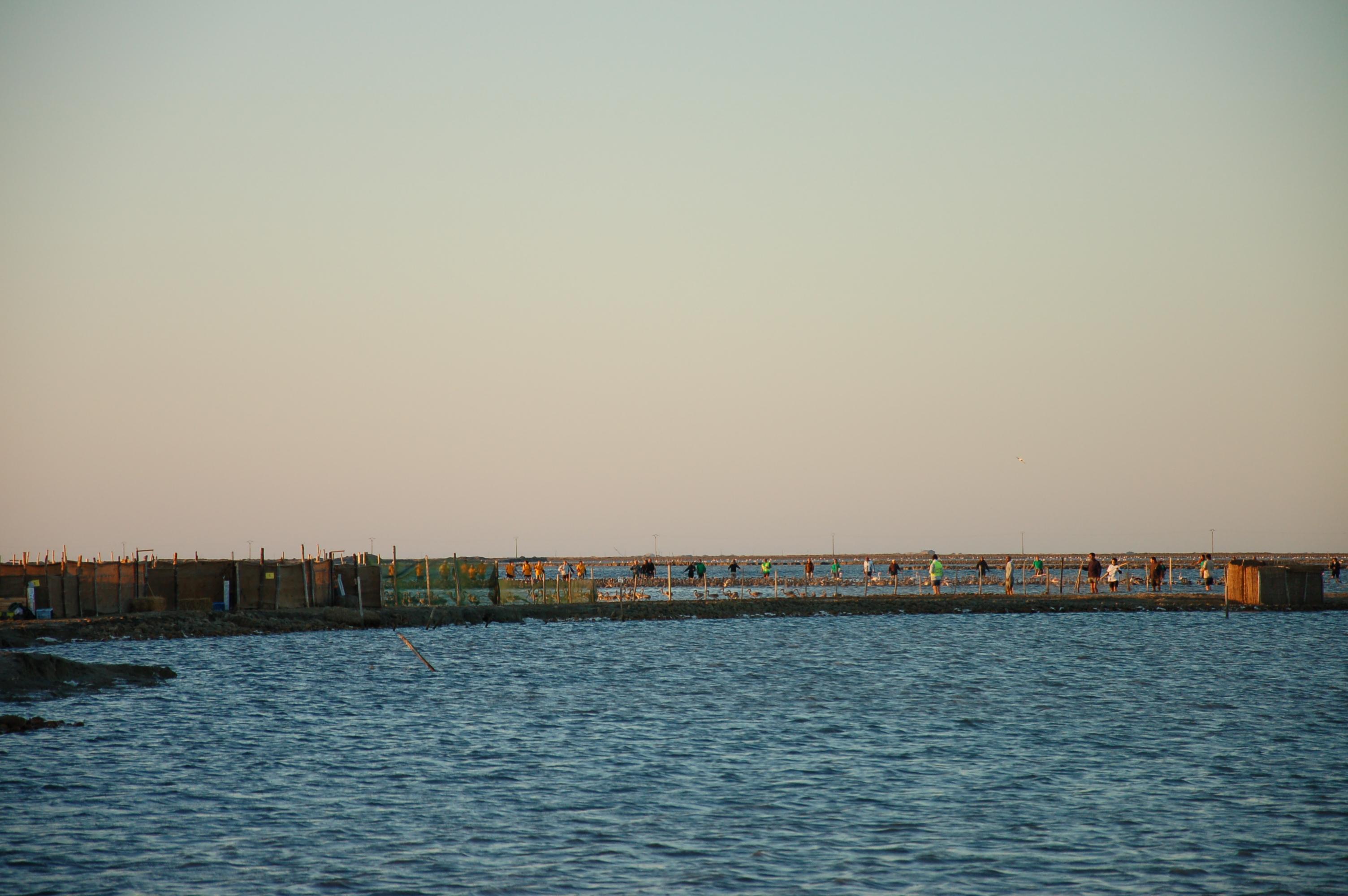 1008040700MCAbag2010 (25).JPG